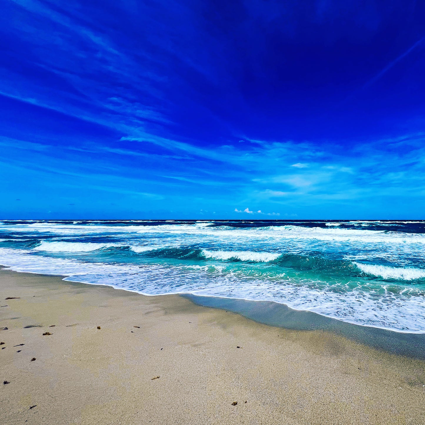 All the Blues