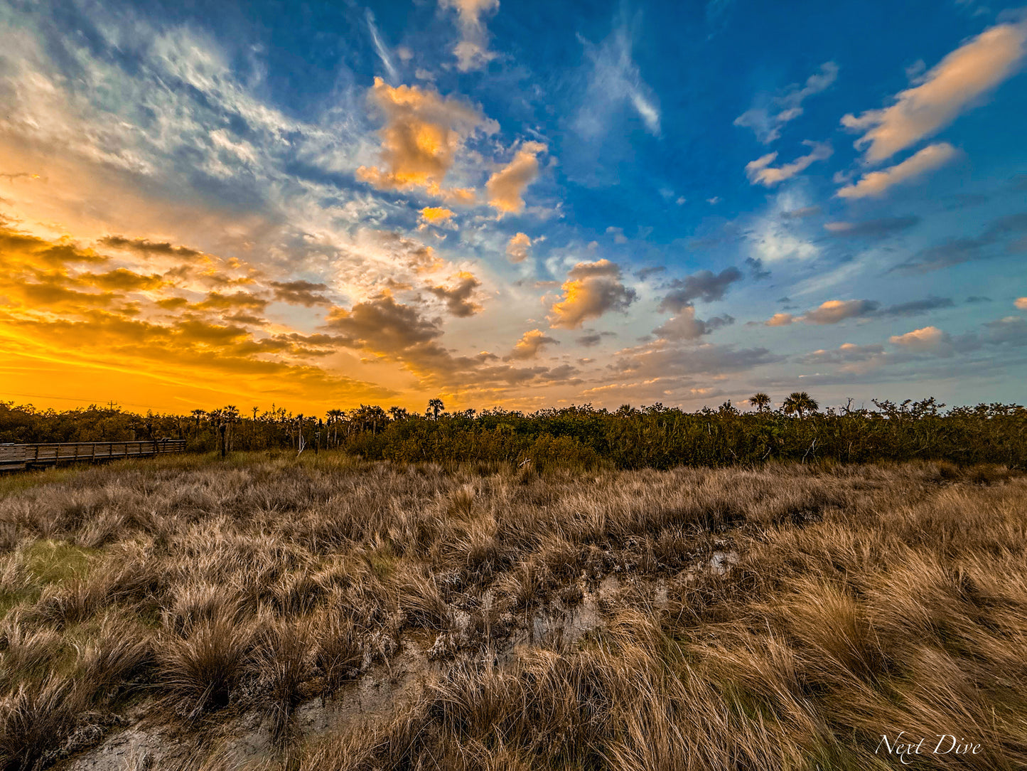 River of Grass