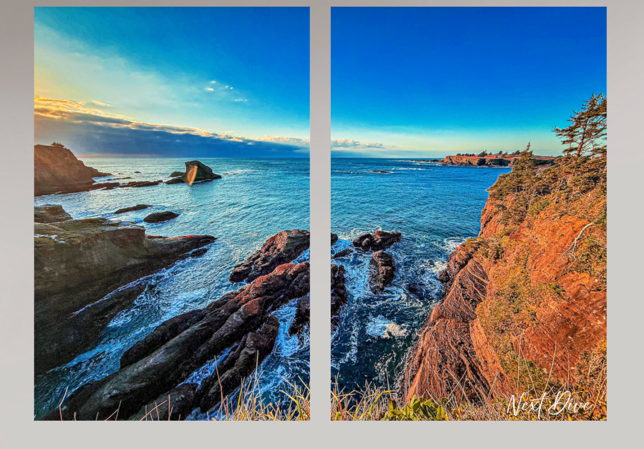 Pacific Northwest Trek