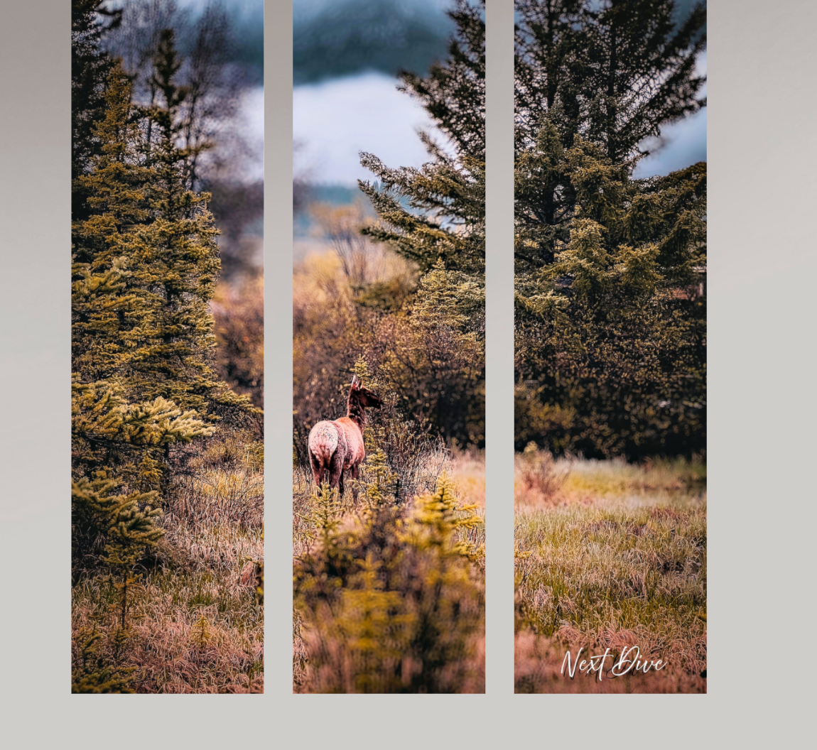 Whisper in the Wilderness