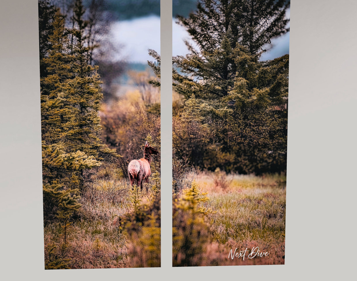 Whisper in the Wilderness