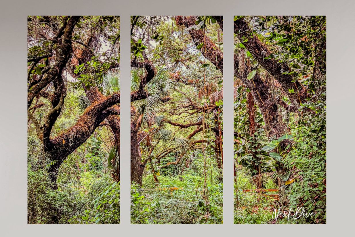 Florida Grove