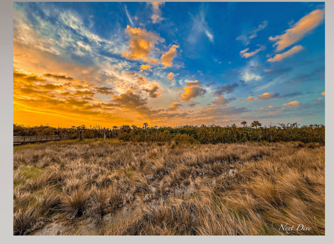 River of Grass
