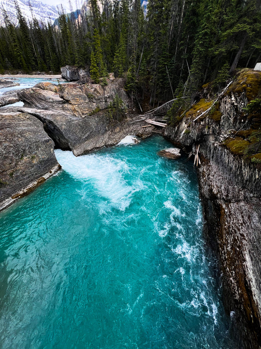 Banff Alberta Canada 24x36 Canvas Print