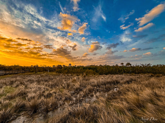River of Grass
